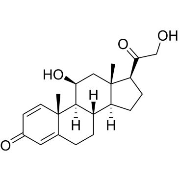 CS-0533977