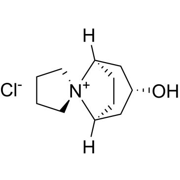 CS-0533981