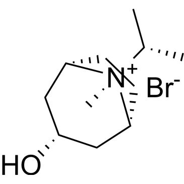 CS-0534204