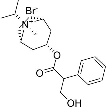 CS-0534207