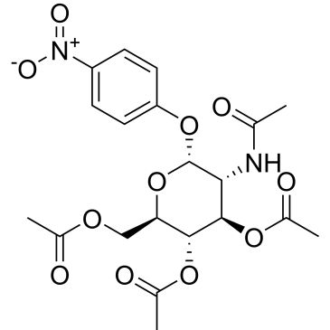 CS-0536205