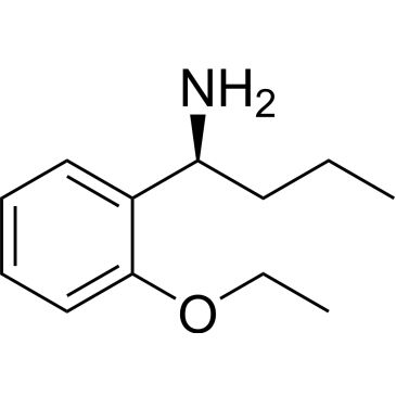 CS-0537204
