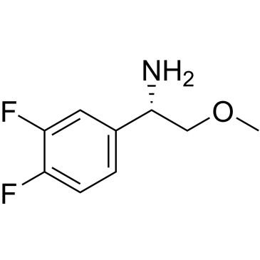 CS-0537253