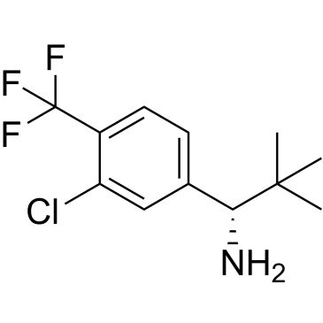CS-0537579
