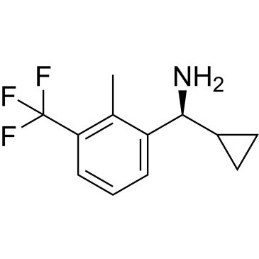 CS-0537776