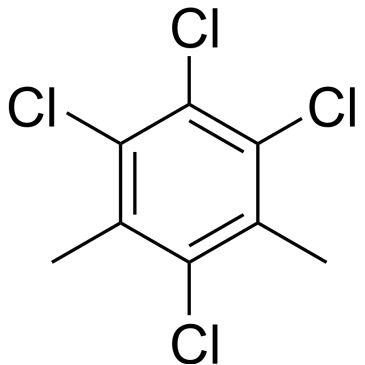 CS-0539284