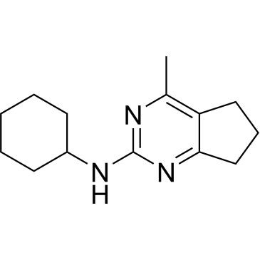 CS-0543084