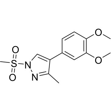 CS-0556653