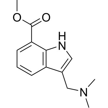 Img