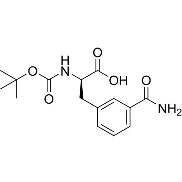 CS-0561702