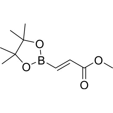 CS-0565936
