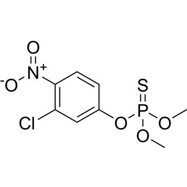 CS-0568828