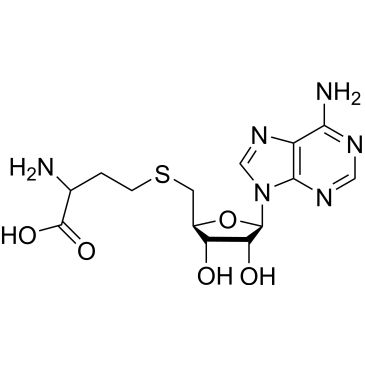 CS-0570178