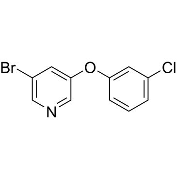 CS-0576043