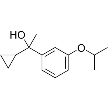 CS-0576562