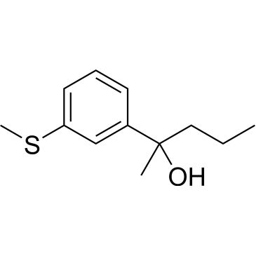 CS-0576951