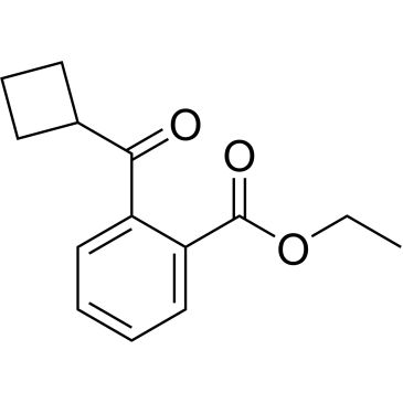 CS-0578806
