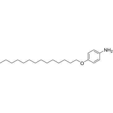 CS-0581327