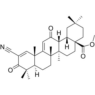 CS-0598