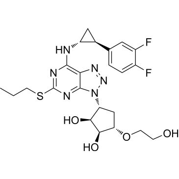 CS-0619