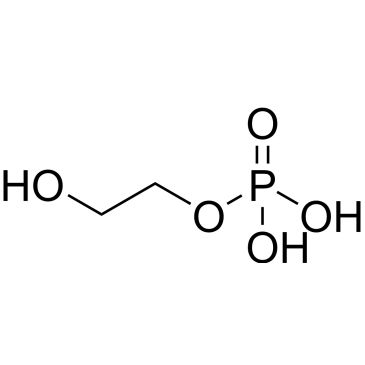 CS-0644041