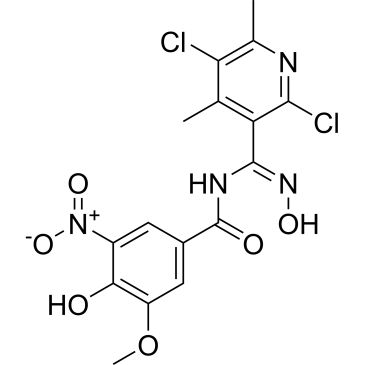 Img