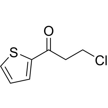 CS-0653483
