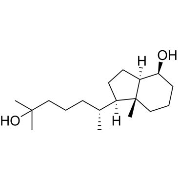 CS-0653486
