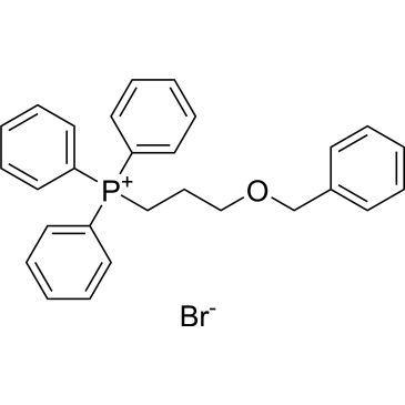 CS-0653691