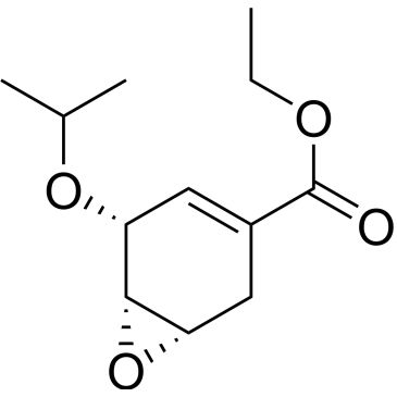 CS-0654509