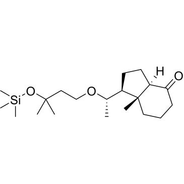 CS-0655335