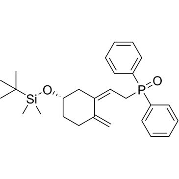 CS-0655344