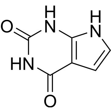 CS-0655394