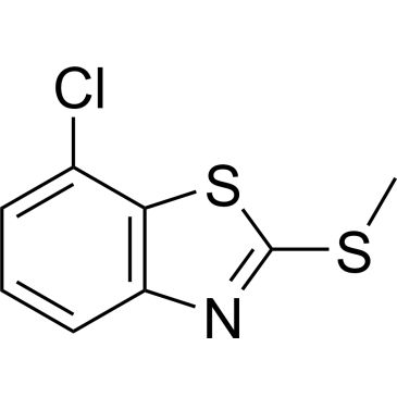 CS-0661935