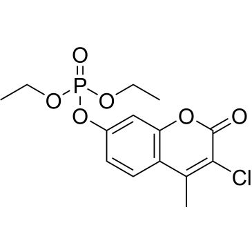 CS-0662533