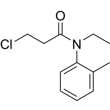 CS-0663387