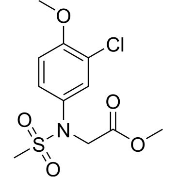 Img