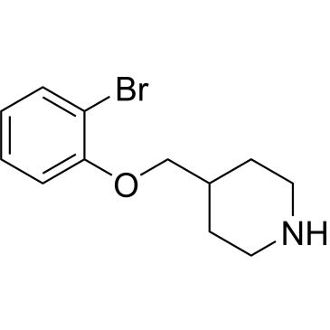 CS-0668991
