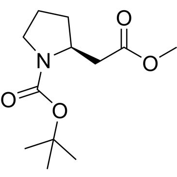 CS-0677083