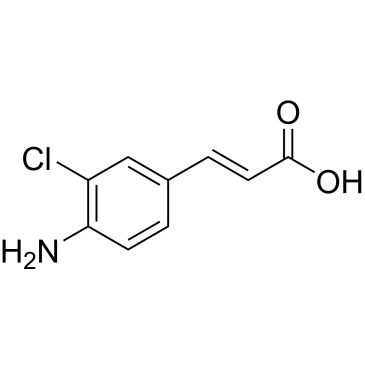 CS-0685966
