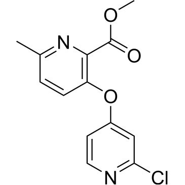 Img