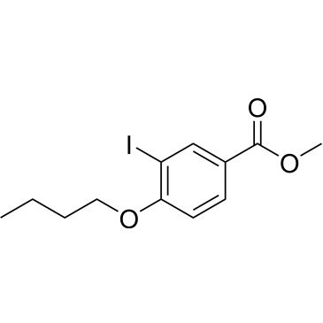 CS-0687069