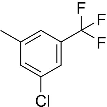 CS-0691311
