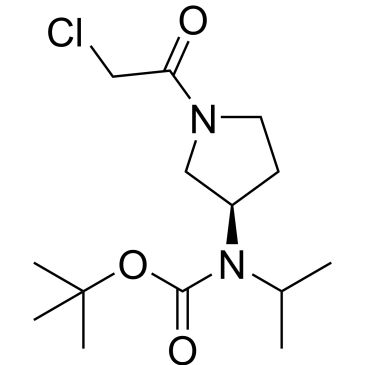 CS-0702835