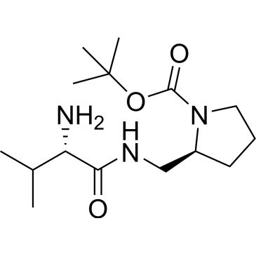 CS-0702958