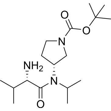 CS-0702984