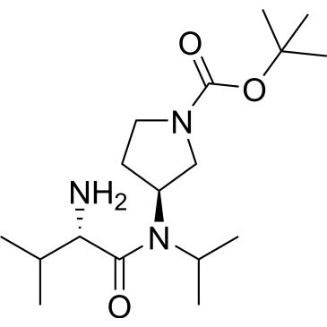 CS-0702985