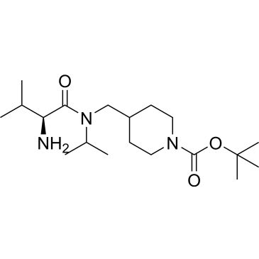 CS-0702991