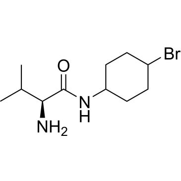 CS-0703173