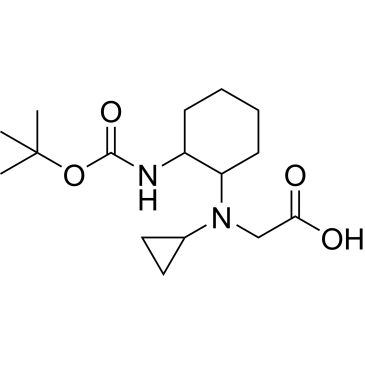 CS-0703369
